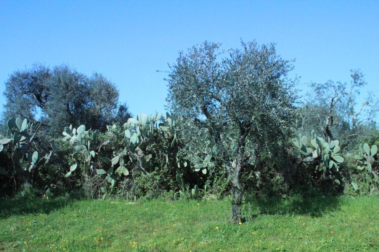 Piccolo Ulivo B&B Salento Vernole Luaran gambar