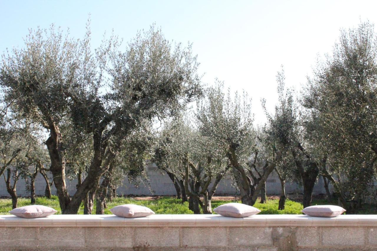 Piccolo Ulivo B&B Salento Vernole Luaran gambar