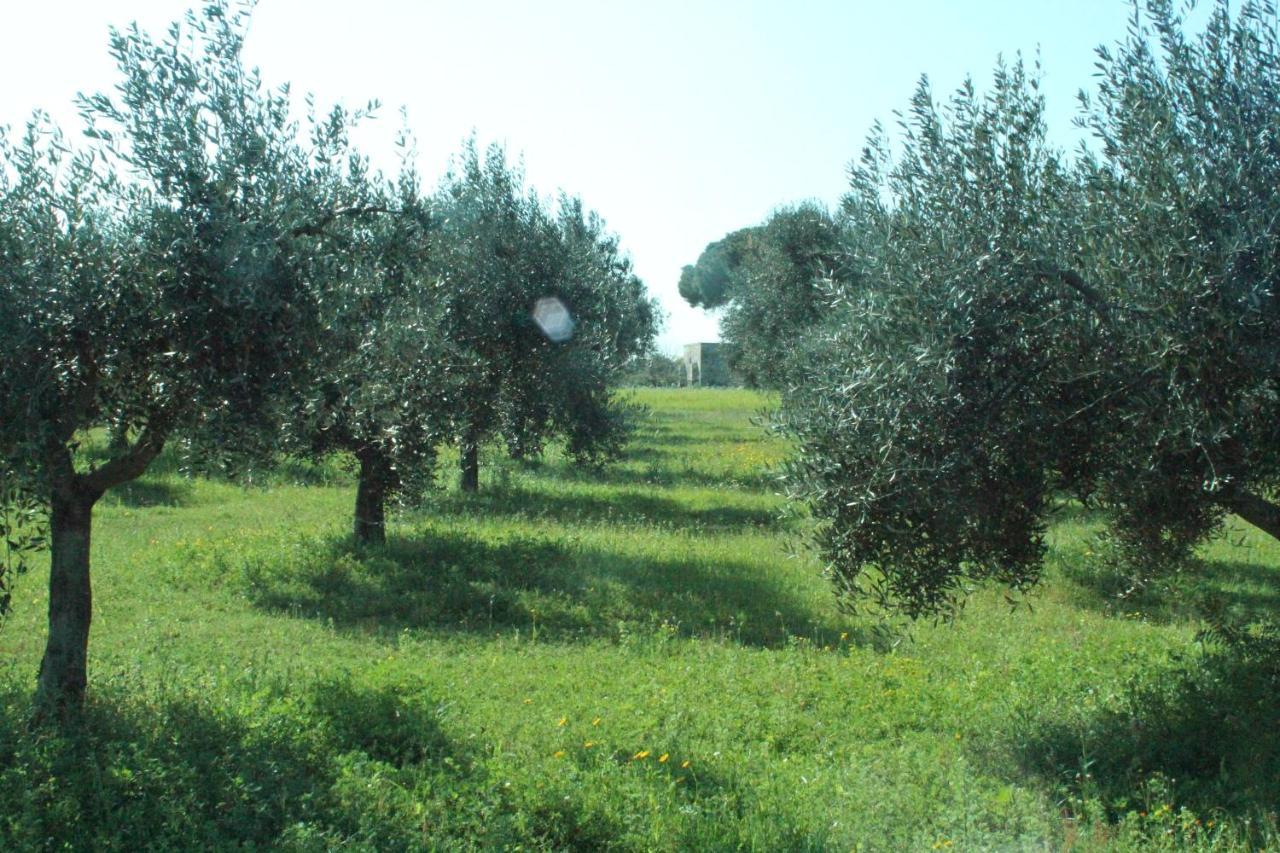 Piccolo Ulivo B&B Salento Vernole Luaran gambar