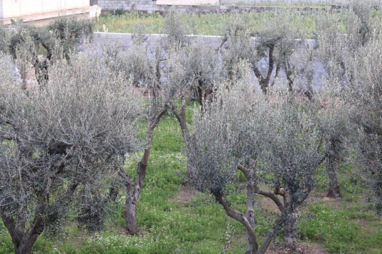 Piccolo Ulivo B&B Salento Vernole Luaran gambar